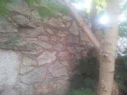 castlepark gate - 10320.jpg